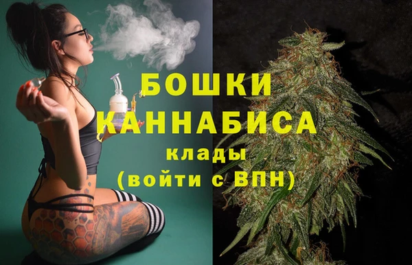 PSILOCYBIN Новокубанск