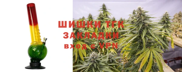 PSILOCYBIN Новокубанск