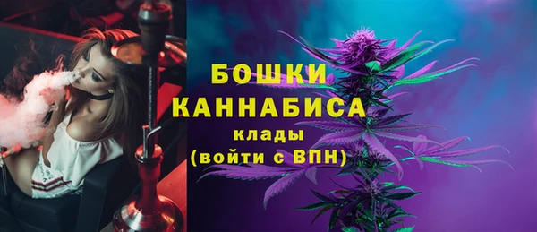 тгк Новодвинск