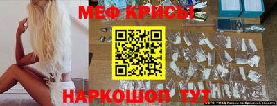 Альфа ПВП Пушкино