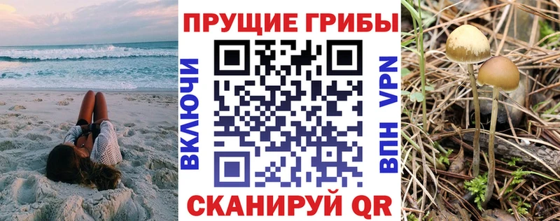 Галлюциногенные грибы мицелий  Армавир 