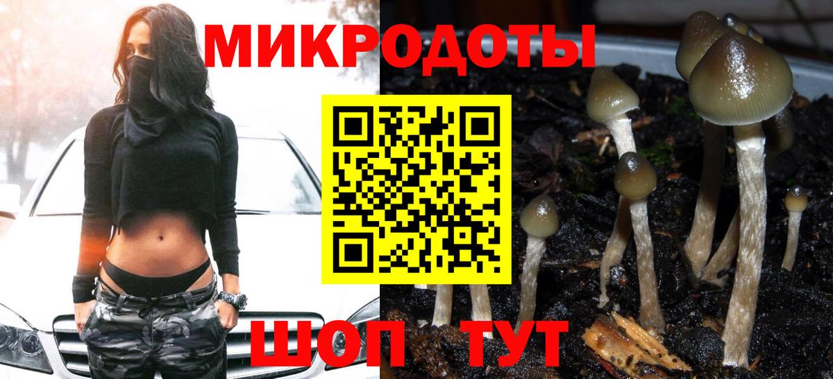 Армавир  Псилоцибиновые грибы прущие грибы  Галлюциногенные грибы Psilocybe  Вход с VPN 